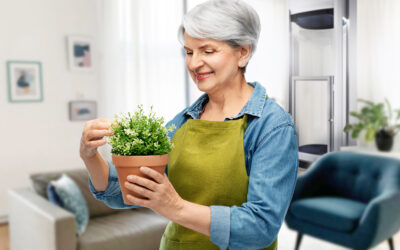“You’re Only as Old as You Feel”: Redefining Later Life